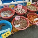 포시즌리조트 리베라 3 네이버블로그