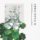 꽃피네
