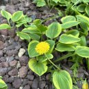 양산에너지마트주유소 이미지