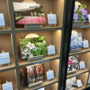 방배숲환경도서관 이미지