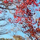 삼형제농장 이미지