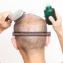 브리스윤서 이미지