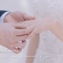 엘비라이프