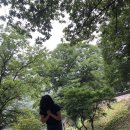 칠갑산나그네옻닭 이미지