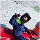 무한태권도장 이미지