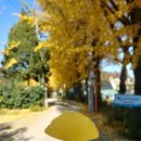 온누리 PC방 이미지