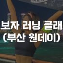 뷰티플데이주 이미지