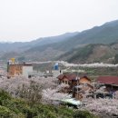 하동 이미지
