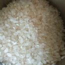 회현농협미곡종합처리장 이미지