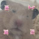 요아정효천점