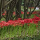 중앙공원 안 이미지