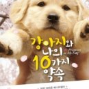 강아지와 나 이미지