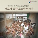 소소농장 네이버블로그