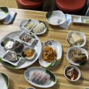 삼오칠회센타 | 제주도 제주시 회 맛집 / 삼오칠 회센타 내돈내산 후기! 단체회식 장소 추천