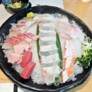서노스시