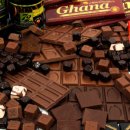 청라호수동물메디컬센터 이미지