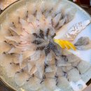 스마트한 여름휴가 즐기기 | 🌊경포대 여름휴가 필독! 제철회 찐고수가 알려주는 여름 생선회 TOP 5 &amp; 인생 맛집 리스트