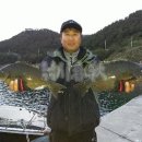 추자바다25시 이미지