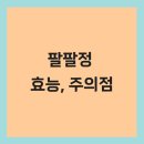 팔팔식품 이미지