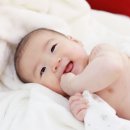 보노보스튜디오 이미지