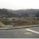 양지-3120 이미지