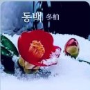 블랙로즈 - 강남구 강남대로152길 22 | 블랙로즈