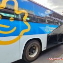(주)더뉴 렌터카 | 제주 더세이프렌터카 디올뉴 싼타페 4박5일 내돈내산 후기