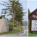 한국숲해설가협회 이미지