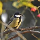 상인천초등학교 이미지