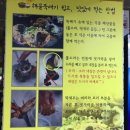용궁목욕탕 | 통영 점심 맛집 <멍게가> <심가네해물짬뽕> <미주뚝배기>