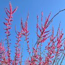 여난농장 이미지