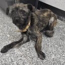 신대1구 이미지