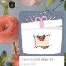 🧘🏻‍♀️올바른 신념,티끌없는 마음에 영원한 햇살,아이폰se3 프로덕트레드♥️