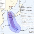 태풍상회1 뉴스1