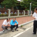 밀양초등학교 이미지