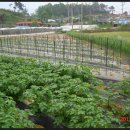 화니농장 이미지