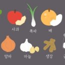 서래초교병설 이미지