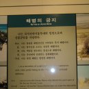 해병대의 미래를 만들자./ 어느 육군예비역의 소견 이미지