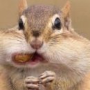 더아름