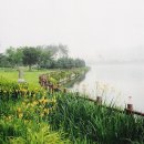 (주)푸른숲 이미지