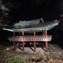 단양토종마늘순대