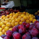 한들농산 이미지