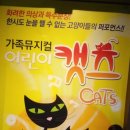 가족뮤지컬 어린이캣츠 이미지