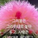 마음의 길 이미지