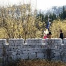 계척시목지 이미지