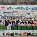 얼음골유통 쿠키뉴스