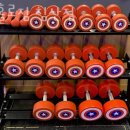 나홀로짐 이미지