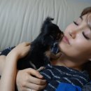 까망이PC 이미지