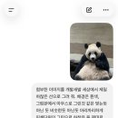 위례성대로22길 | 주간일기:미쏘, 스타벅스토이토리, 빕스kt할인, 오금 투탁, 프로퍼커피바, 올리픽공원 나홀로나무...