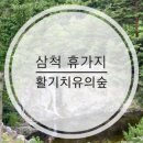 삼척동자 유아숲체험원 이미지